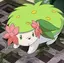 パンダのプロフィール画像