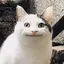 ぱわのプロフィール画像