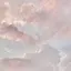 cのプロフィール画像