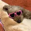 ふなのプロフィール画像