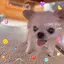 cocoのプロフィール画像
