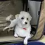 えりぽんのプロフィール画像