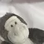 Kのプロフィール画像