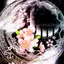 ゆりのプロフィール画像