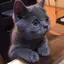 未来のプロフィール画像