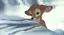 🦌のプロフィール画像