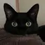 あちゃんのプロフィール画像