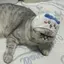るうのプロフィール画像