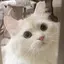 もえかのプロフィール画像