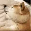 大小のプロフィール画像