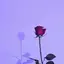 ななのプロフィール画像