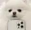 ににるるのプロフィール画像