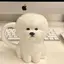 miiのプロフィール画像