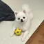 さきゃんのプロフィール画像