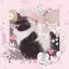 フルートのプロフィール画像