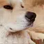のりこのプロフィール画像