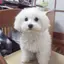のんのプロフィール画像