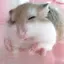 Eのプロフィール画像
