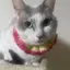 遥平のプロフィール画像