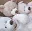 mのプロフィール画像