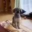 ドナルドのプロフィール画像