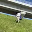 香波のプロフィール画像