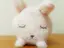 ecoのプロフィール画像