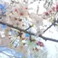 aoのプロフィール画像