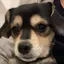 ももたんのプロフィール画像