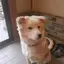 歩美のプロフィール画像