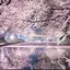 あやのプロフィール画像