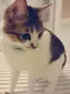 たかのプロフィール画像