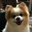 tkhsmhのプロフィール画像
