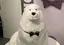 みーのプロフィール画像