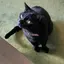 ゆっこのプロフィール画像