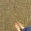 u1のプロフィール画像
