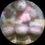 mie♡...*゜のプロフィール画像