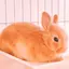 まゆのプロフィール画像