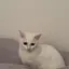 あみのプロフィール画像