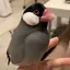 Yukiのプロフィール画像