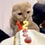 happyのプロフィール画像