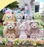renappeのプロフィール画像
