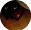 ふじのプロフィール画像