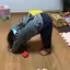 Chamのプロフィール画像