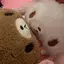 にゃのプロフィール画像
