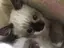 miyuuのプロフィール画像