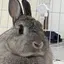 まつのプロフィール画像