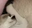 まめのプロフィール画像