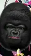 mamchanのプロフィール画像