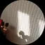 有理のプロフィール画像